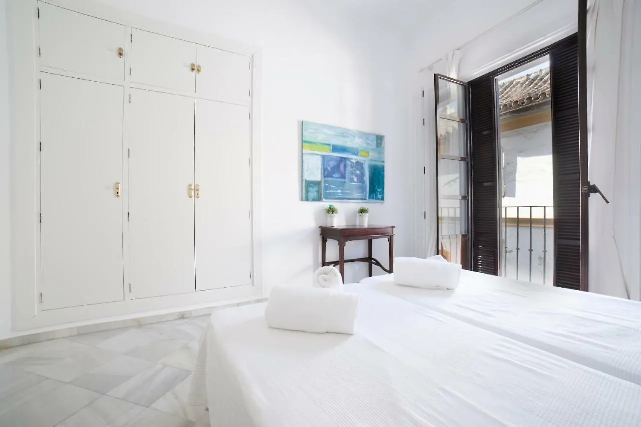 Apartamento Barrio Santa Cruz Hotel Seville Apartment