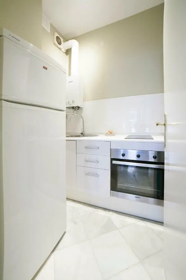 Apartamento Barrio Santa Cruz Hotel Seville 0*,